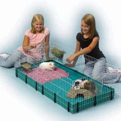 MidWest Guinea Habitat Guinea Pig Home -Tetra || MidWest Sales Shop 103815 PT2. SY630 V1472130826