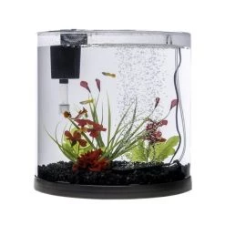 Tetra ColorFusion Half Moon Aquarium Kit -Tetra || MidWest Sales Shop 105663 PT5. SY630 V1617327166