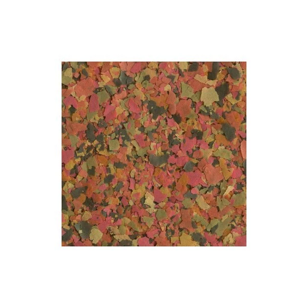 TetraMin Plus Tropical Flakes Fish Food, 2.2-oz bottle 4 TetraMin Plus Tropical Flakes Fish Food, 2.2-oz bottle - Image 4