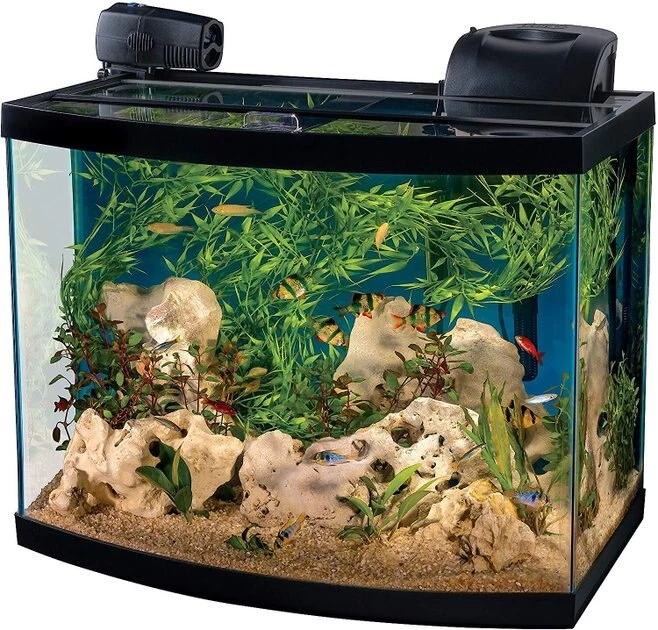 Tetra Connect Curved Aquarium Kit with WiFi Feeder, 28-gal 2 Tetra Connect Curved Aquarium Kit with WiFi Feeder, 28-gal - Image 2