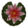Tetra Pond Floating Water Lily Aquarium Decor
