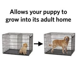 MidWest 54-in Solution Series 1154U Dog Crate Divider Panel, Black, Giant 8 MidWest 54-in Solution Series 1154U Dog Crate Divider Panel, Black, Giant -Tetra || MidWest Sales Shop 244772 PT3. SY630 V1618267962