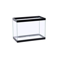 Tetra Glass Aquarium -Tetra || MidWest Sales Shop 313139 PT2. SY630 V1627302382