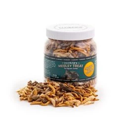 Tetrafauna||Fluker's Reptile Starter Kit - Tetra ReptoMin Floating Sticks Turtle & Amphibian Food + 2 other items -Tetra || MidWest Sales Shop 538958 PT6. SY630 V1657658875