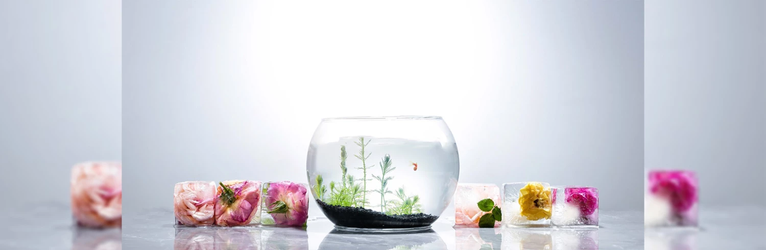 Tetra || MidWest Sales Shop -Tetra || MidWest Sales Shop 547