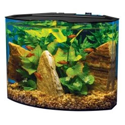 Tropical Fish Starter Kit - Tetra Crescent Aquarium Kit, 5-gal + 4 other items 15 Tropical Fish Starter Kit - Tetra Crescent Aquarium Kit, 5-gal + 4 other items -Tetra || MidWest Sales Shop 581558 PT6. SY630 V1657746337