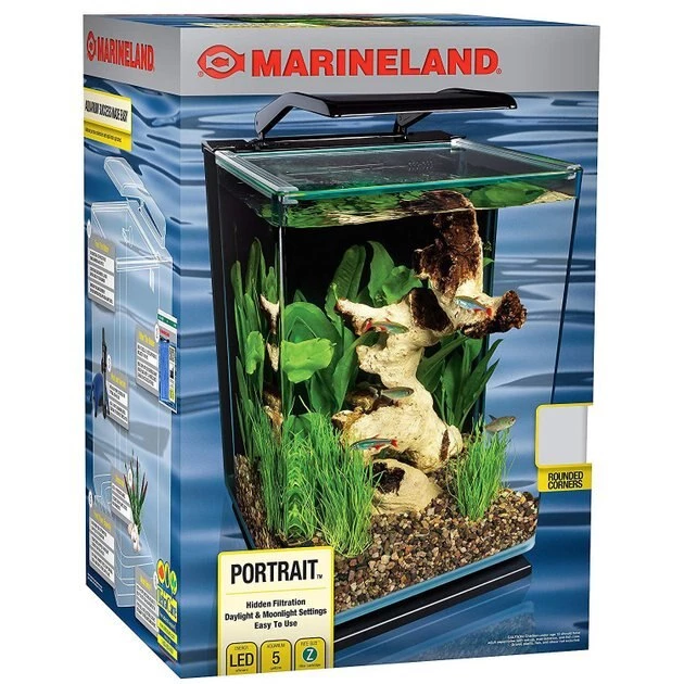 Tetra||Marineland Goldfish Starter Kit - Marineland Portrait Blade Light Aquarium Kit, 5-gal + 4 other items 4 Tetra||Marineland Goldfish Starter Kit - Marineland Portrait Blade Light Aquarium Kit, 5-gal + 4 other items - Image 4