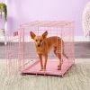 MidWest iCrate Single Door Collapsible Wire Dog Crate, Pink, 24 inch