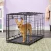 MidWest Ovation Single Door Collapsible Wire Dog Crate