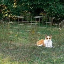 MidWest Wire Dog Exercise Pen with Step-Thru Door, Gold Zinc
