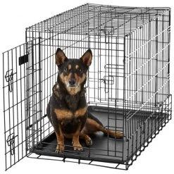 MidWest Solutions Series Side by Side Double Door Collapsible SUV Dog Crate -Tetra || MidWest Sales Shop 74370 PT3. SY630 V1569015424