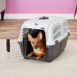 MidWest Skudo Standard Plastic Dog & Cat Kennel
