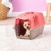MidWest Spree Plastic Dog & Cat Kennel