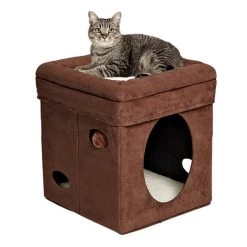 MidWest Curious Cube Cat Condo 10 MidWest Curious Cube Cat Condo -Tetra || MidWest Sales Shop 90426 PT4. SY630 V1582739528