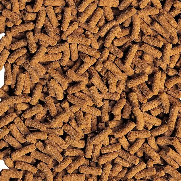 Tetra Cichlid Floating Cichlid Sticks Fish Food 3 Tetra Cichlid Floating Cichlid Sticks Fish Food - Image 3