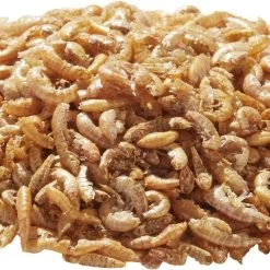 Tetrafauna ReptoTreat Gammarus Turtle, Newt & Frog Treats -Tetra || MidWest Sales Shop 98642 PT2. SY630 V1525440164