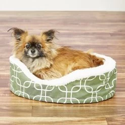 MidWest QuietTime Defender Orthopedic Bolster Cat & Dog Bed w/ Removable Cover, Green